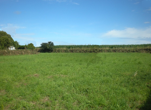 Terrain à Bâtir à ALLAN (26780)