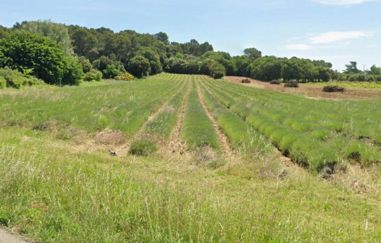 À vendre : Terrain à Bâtir – Bollène (84500)