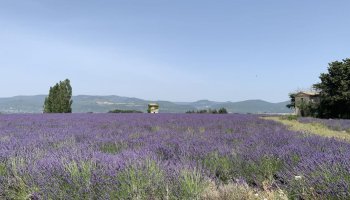 Terrain à bâtir 290 m² : Montélimar Nord 