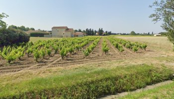 A vendre : Terrain à bâtir VIOLES ( 84150)