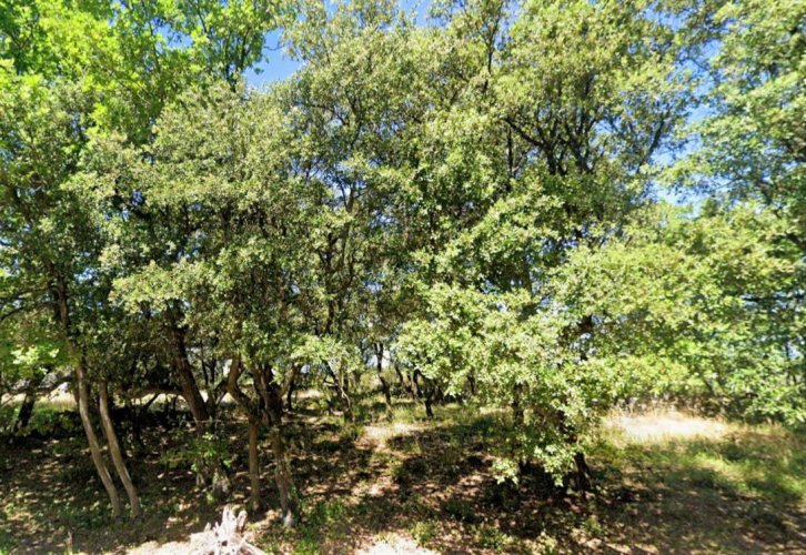 GRIGNAN : dernier lot de 1500 m²  à bâtir