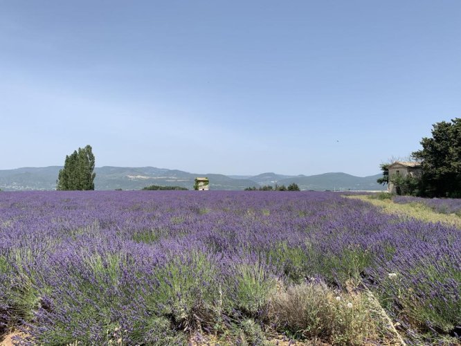 Terrain à bâtir 440m² : Montélimar Nord 